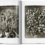 Karl Blossfeldt. The Complete Published Work. 45th Ed. 3