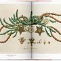 A Garden Eden. Masterpieces of Botanical Illustration. 5