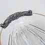 Glass Bowl Transparent 4