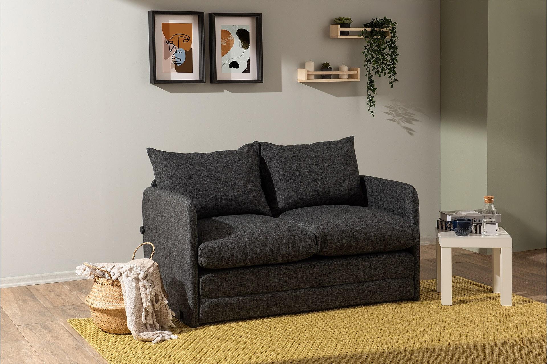 Saga Sofa Bed 2-seater Dark Grey 1