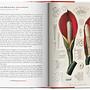 A Garden Eden. Masterpieces of Botanical Illustration. 6