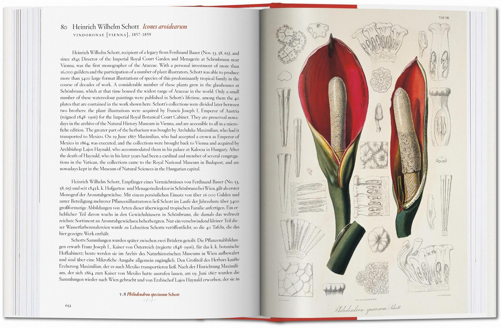 A Garden Eden. Masterpieces of Botanical Illustration. 6