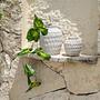 Trendy Vase Grau 2