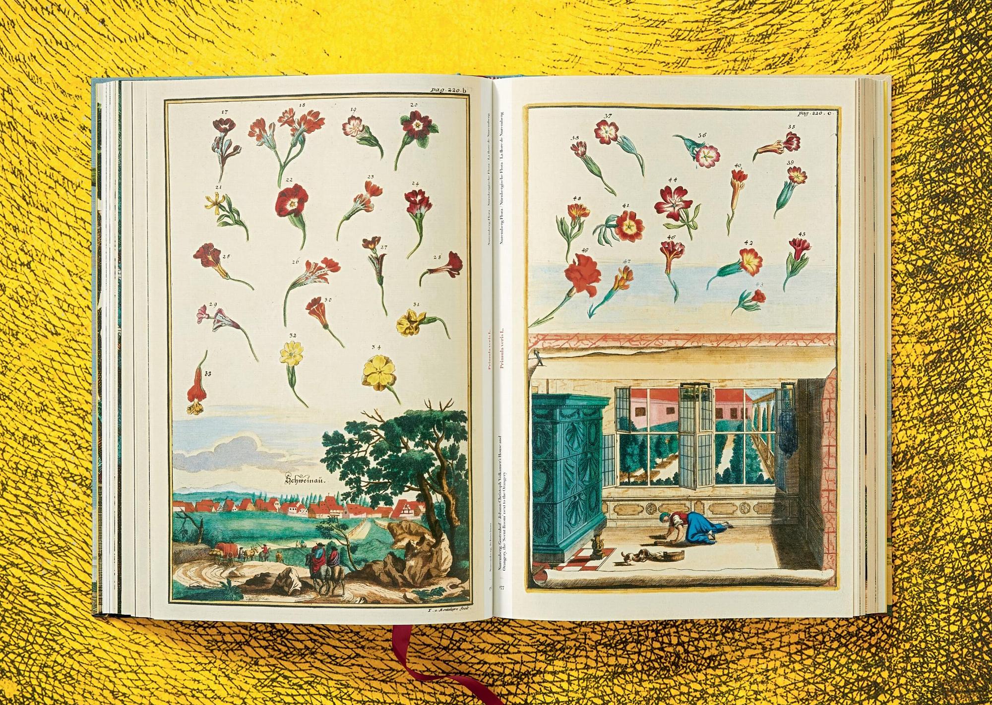 J. C. Volkamer. The Book of Citrus Fruits 7