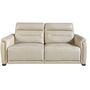 Sofa 3-Sitzer Leder Taupe Grau 1