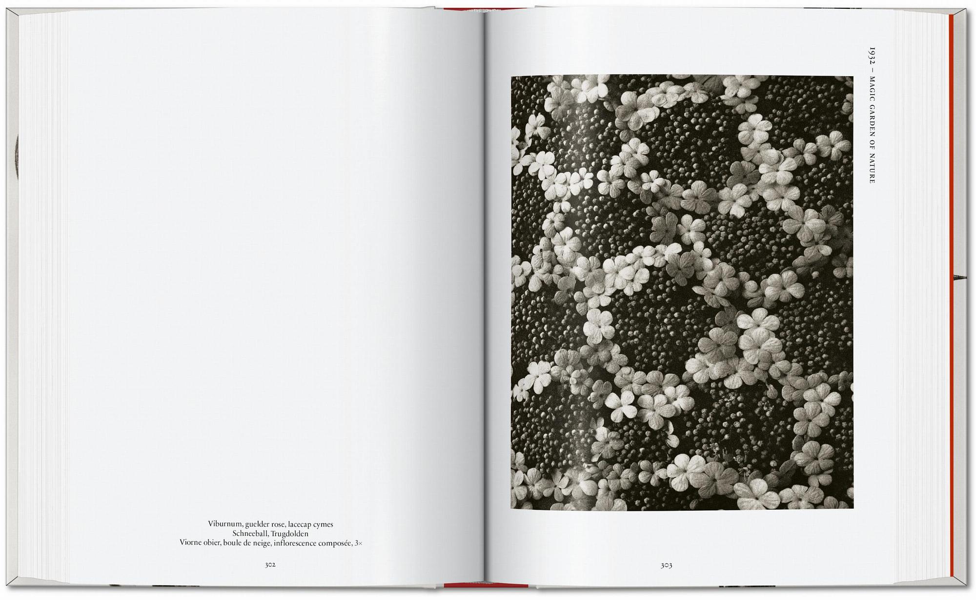 Karl Blossfeldt. The Complete Published Work. 45th Ed. 7