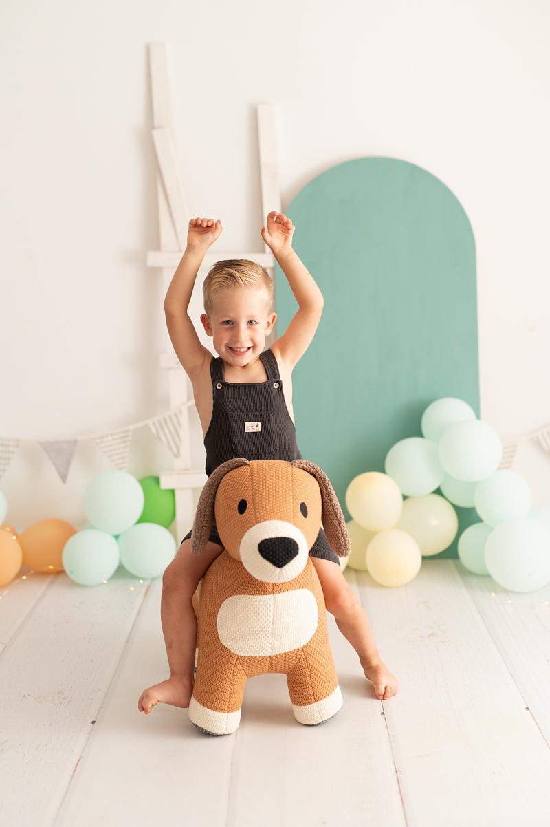 Dog Plush Cotton Brown 0