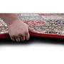 Benares Bachtiari Teppich Schurwolle Rot 60 x 90 cm 2