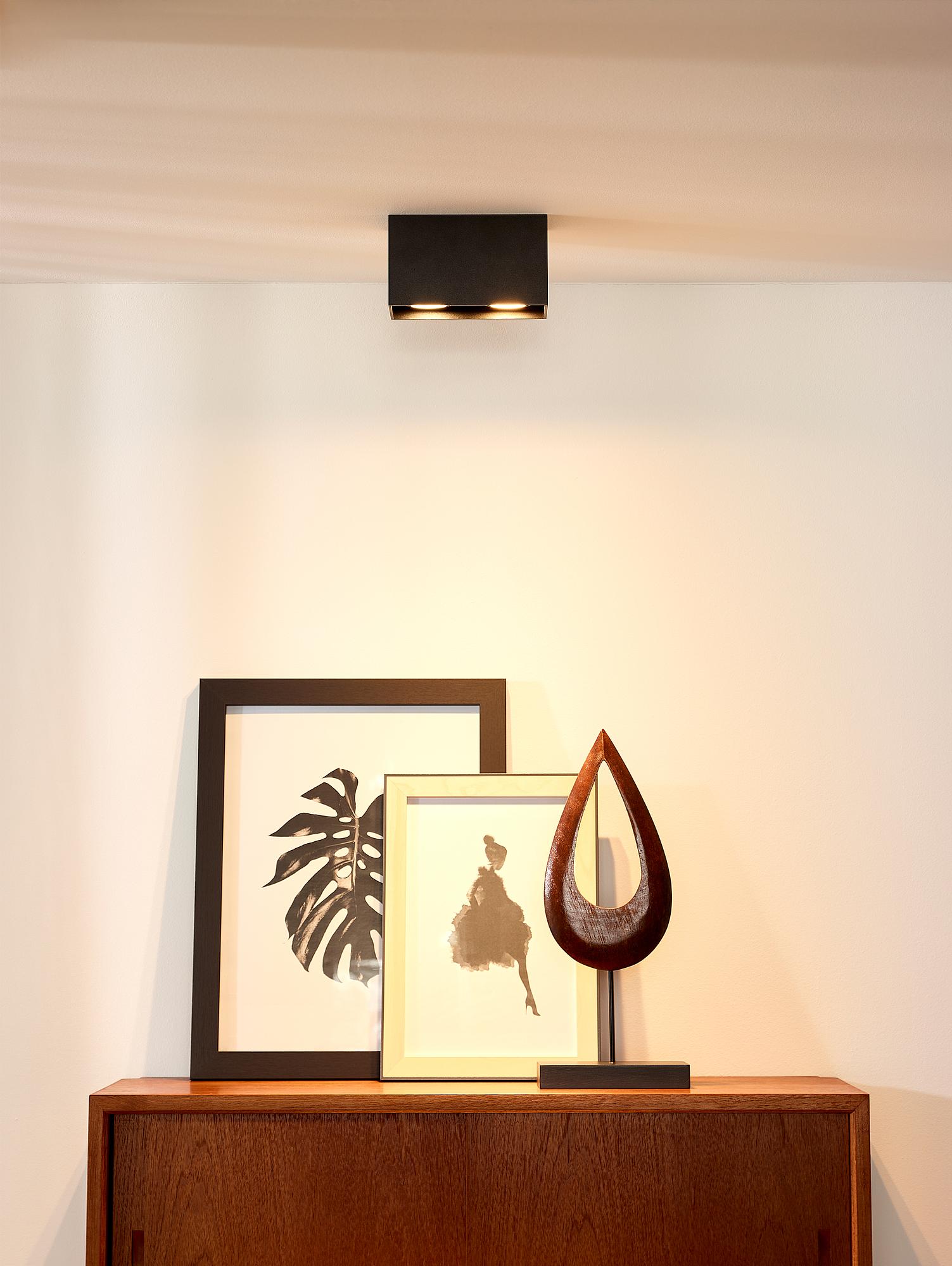 Bodi Type B Ceiling Spotlight Aluminum Black 2