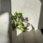 Trendy Vase Grau 5