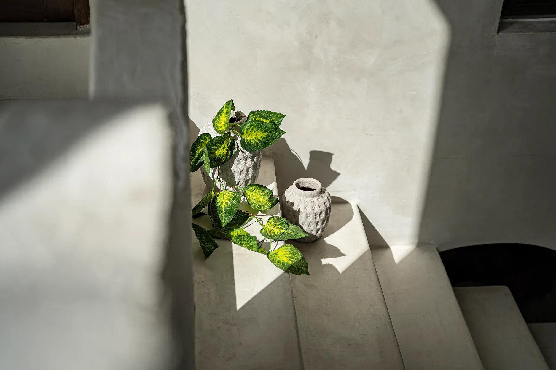Trendy Vase Grau 5