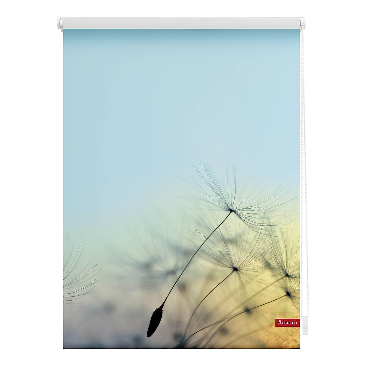 Klemmfix-Rollo Pusteblume Webstoff Hellblau 60 x 150 cm 0