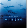 Michael Muller. Sharks 0