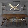 Albatros Pendant Lamp Wood 100cm 9