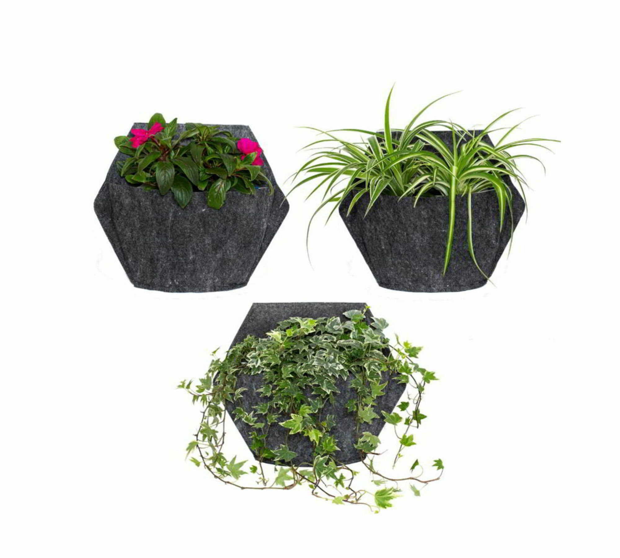 3x Wall planter Black with textile cover 0