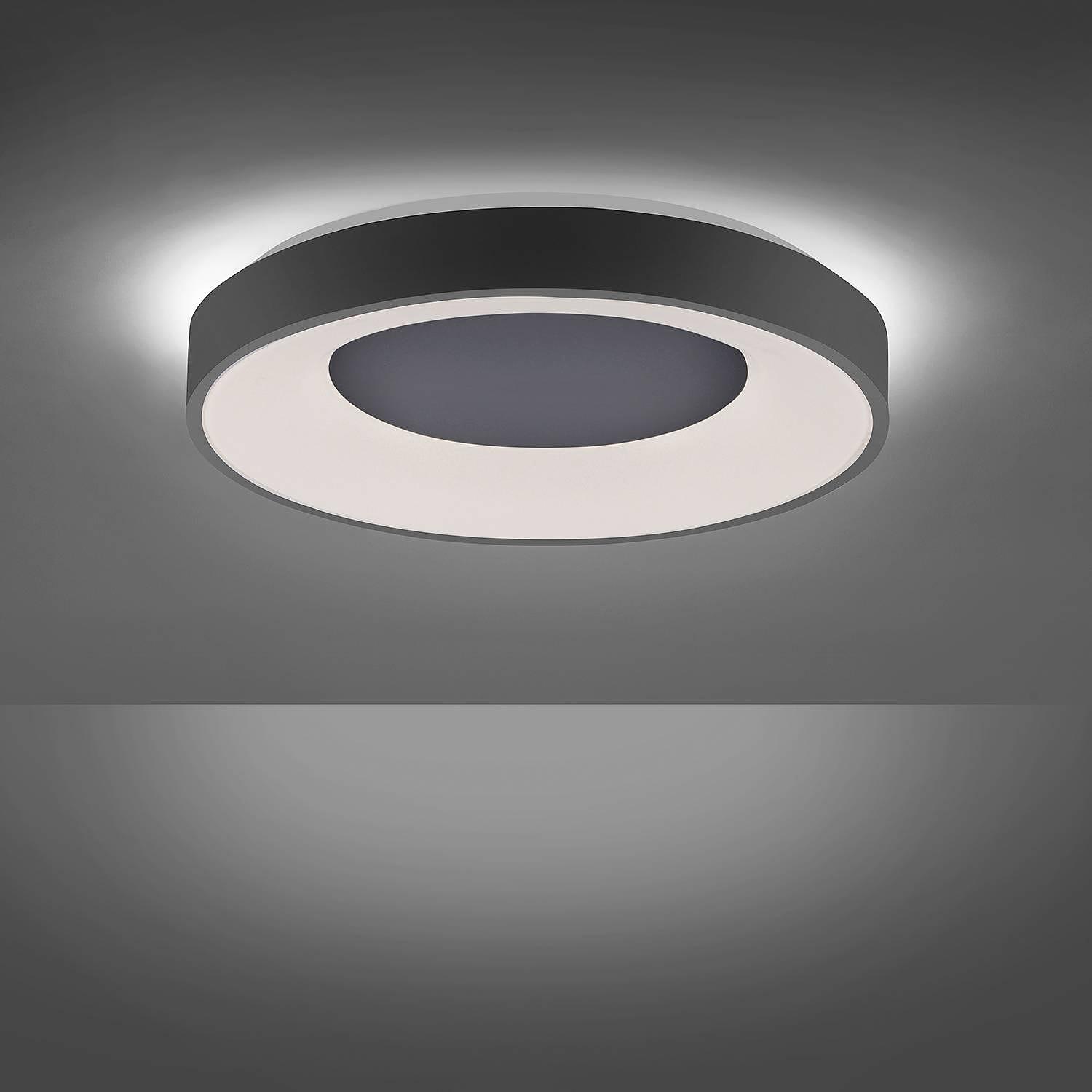 1-Flammig LED-Deckenleuchte Anika Schwarz 2