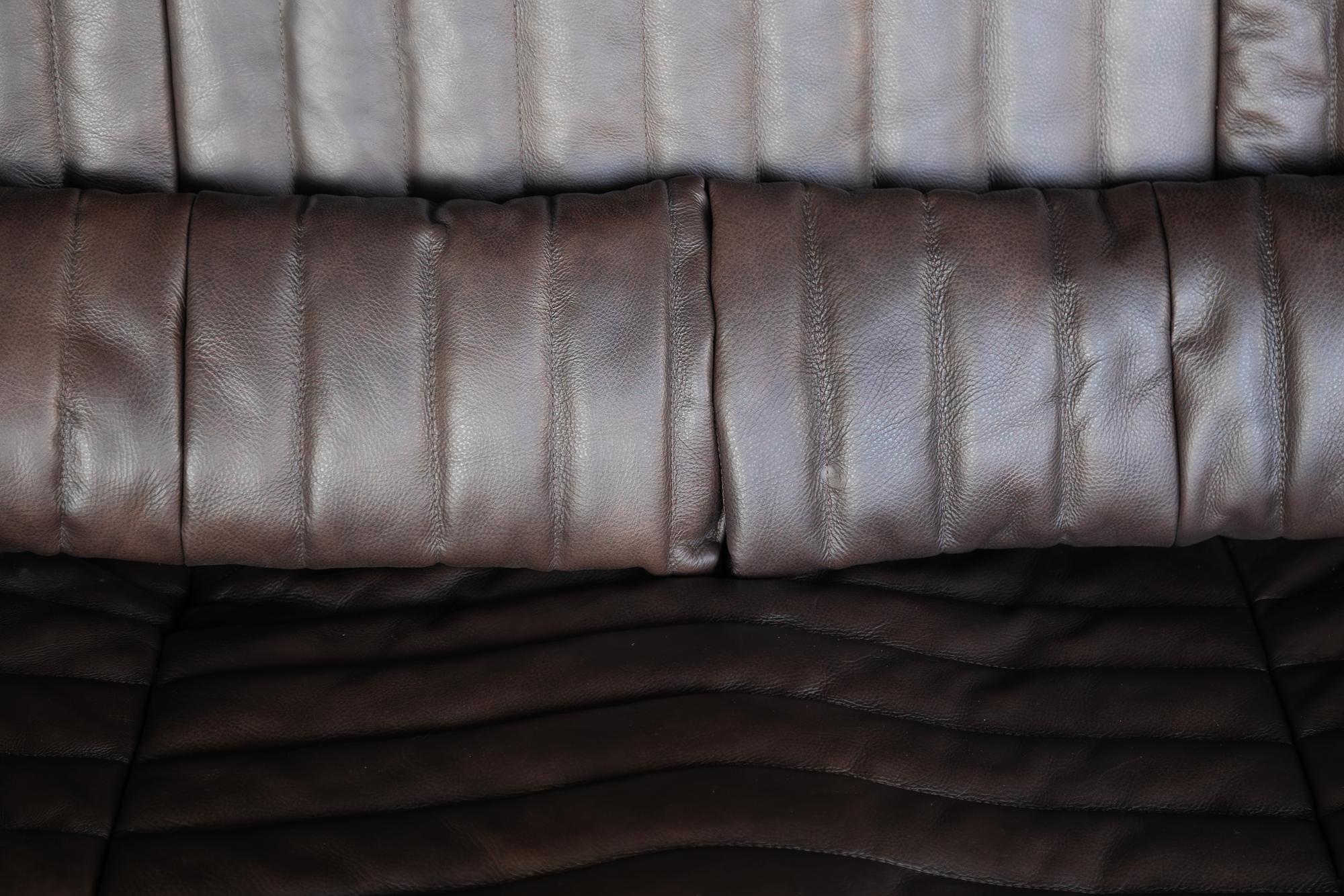 Togo Armchair Smooth Leather Folk Brown 3