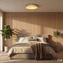 Ceiling Light Uluma 1-Light Iron Beige 3