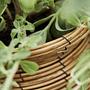 2x HDBoum Flower Pot Nature 2