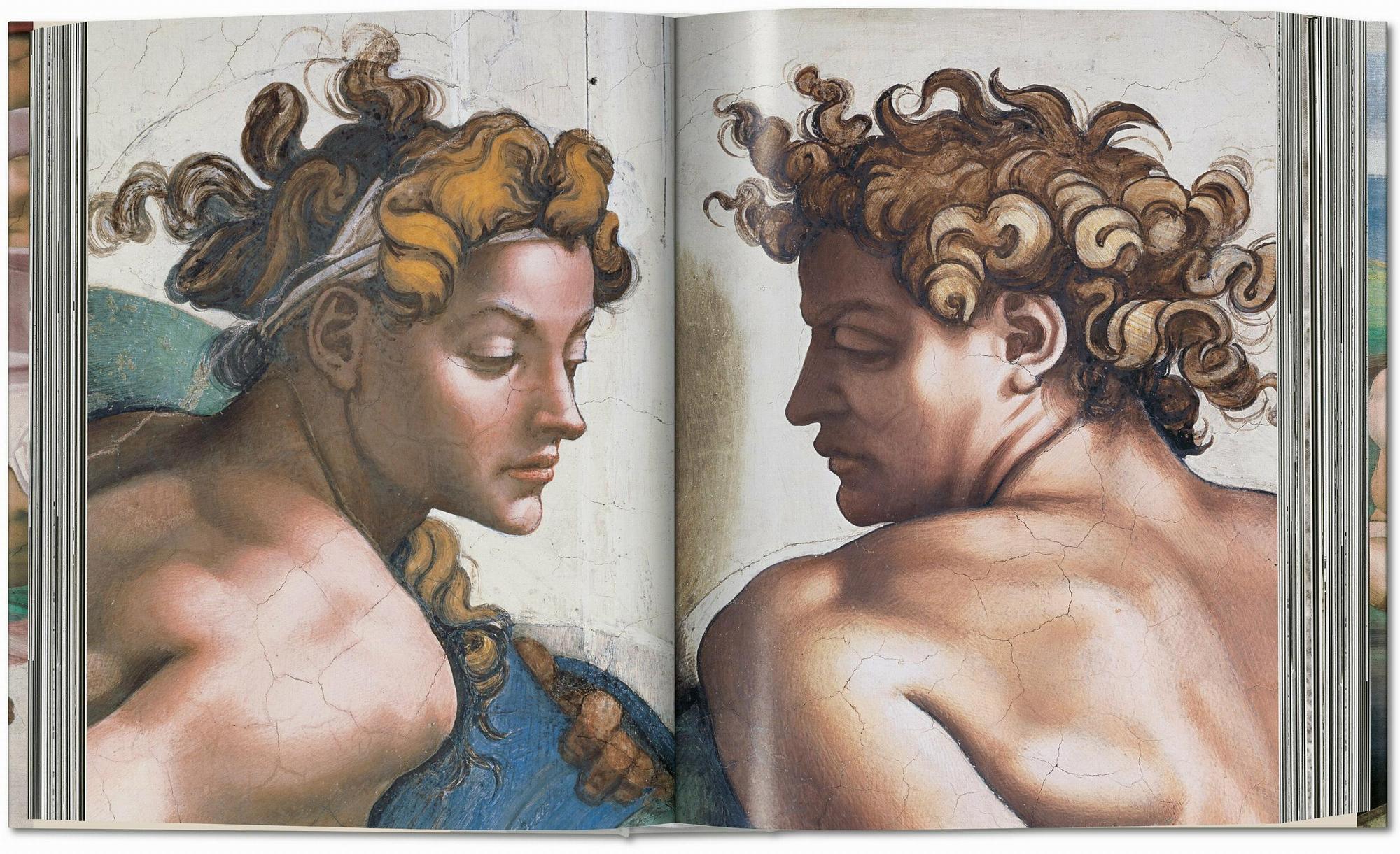 Michelangelo. Das vollständige Werk. 3