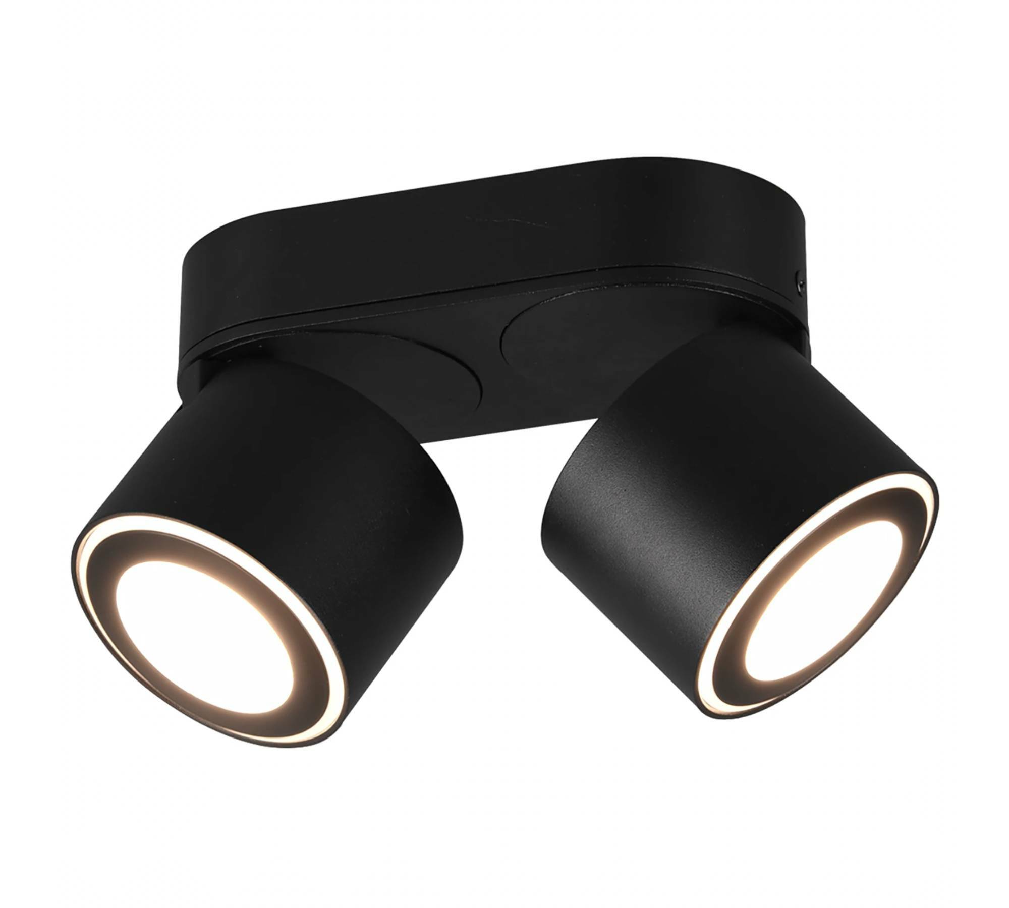 2-Flammige LED Deckenleuchte Aluminium Schwarz 0