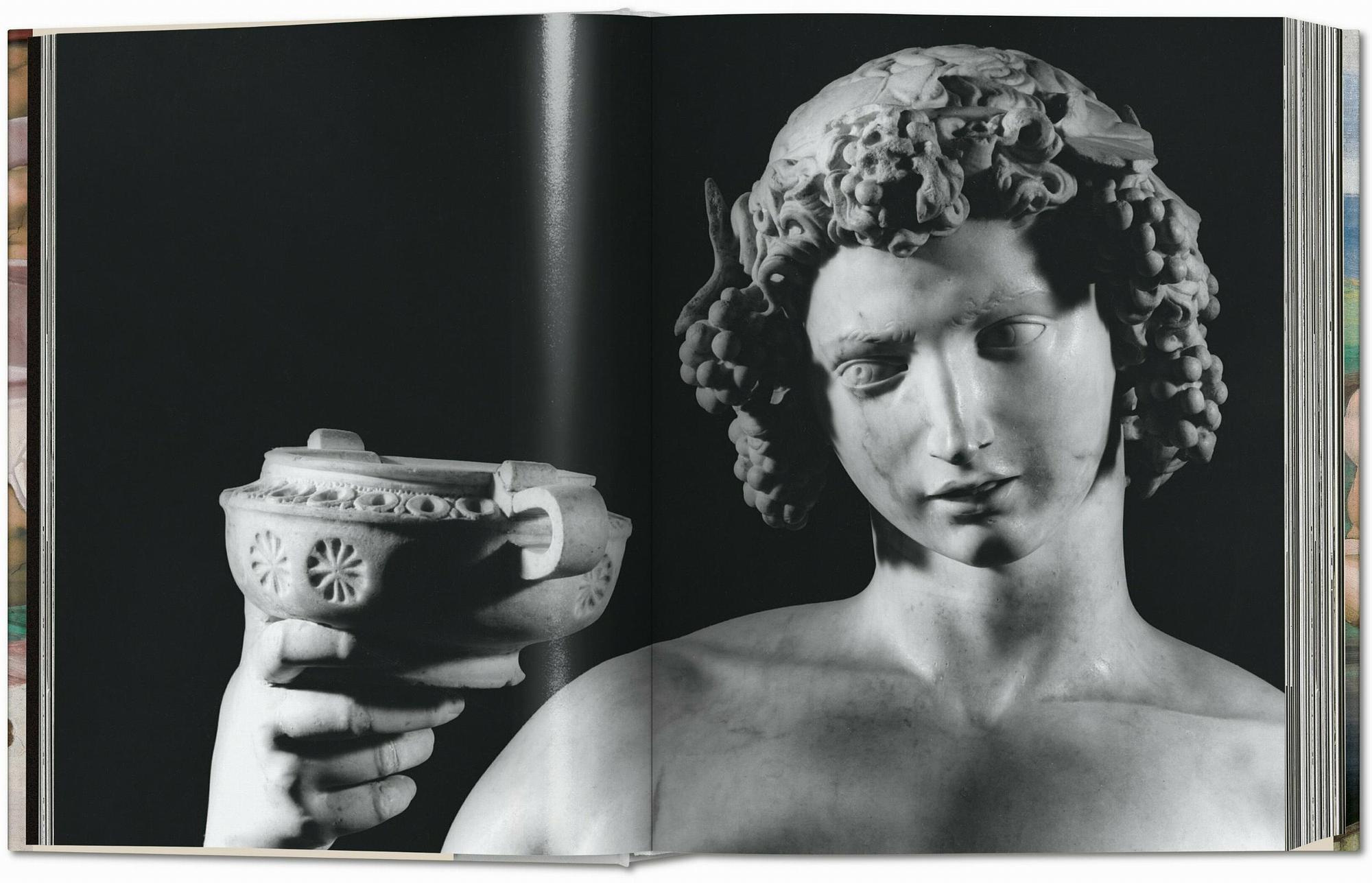 Michelangelo. Das vollständige Werk. 1