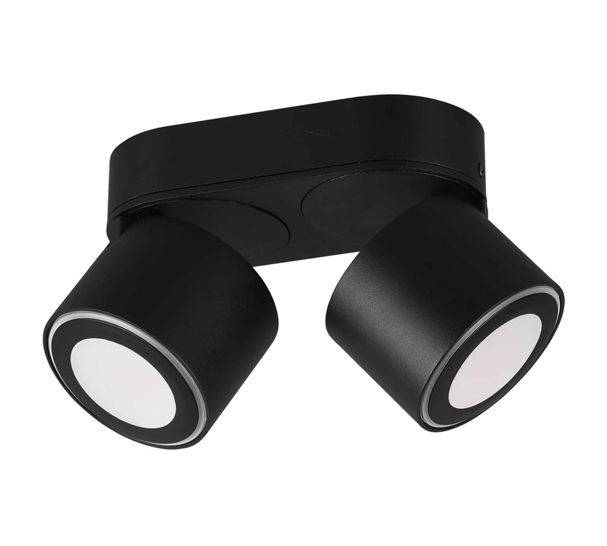 2-Flame LED Ceiling Lamp Aluminum Black 1