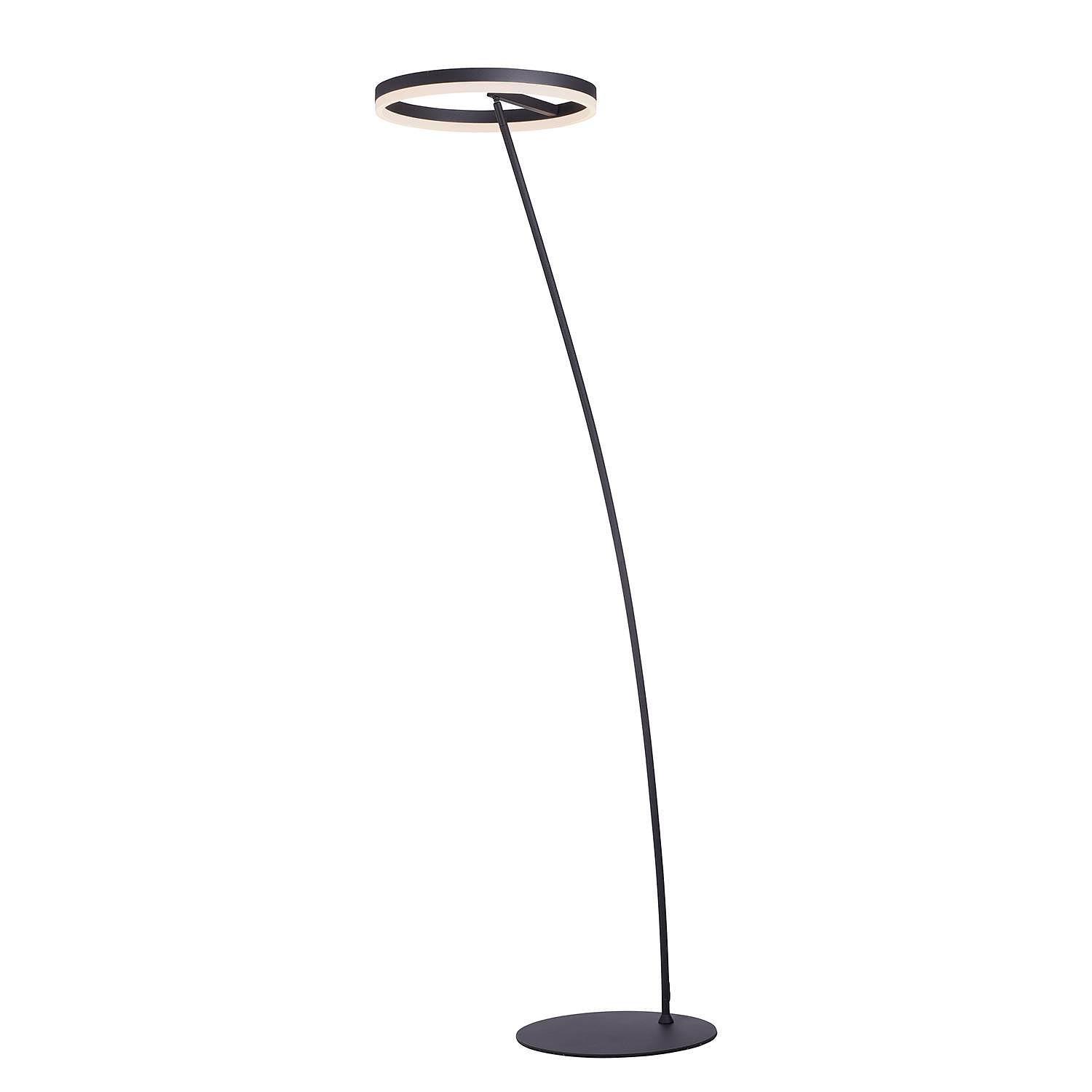 LED-Stehleuchte Titus Acrylglas Eisen 0