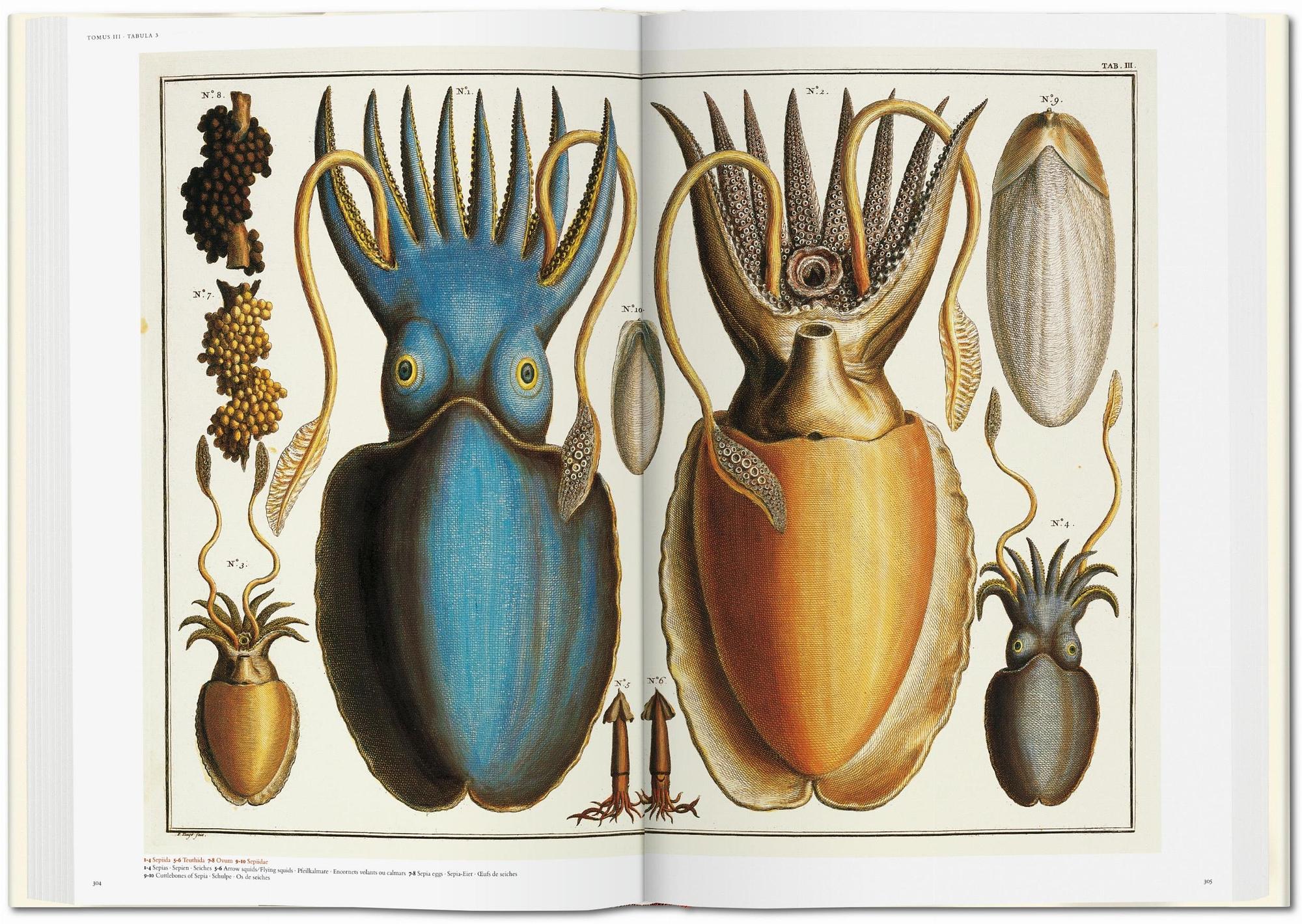Seba. Cabinet of Natural Curiosities 6