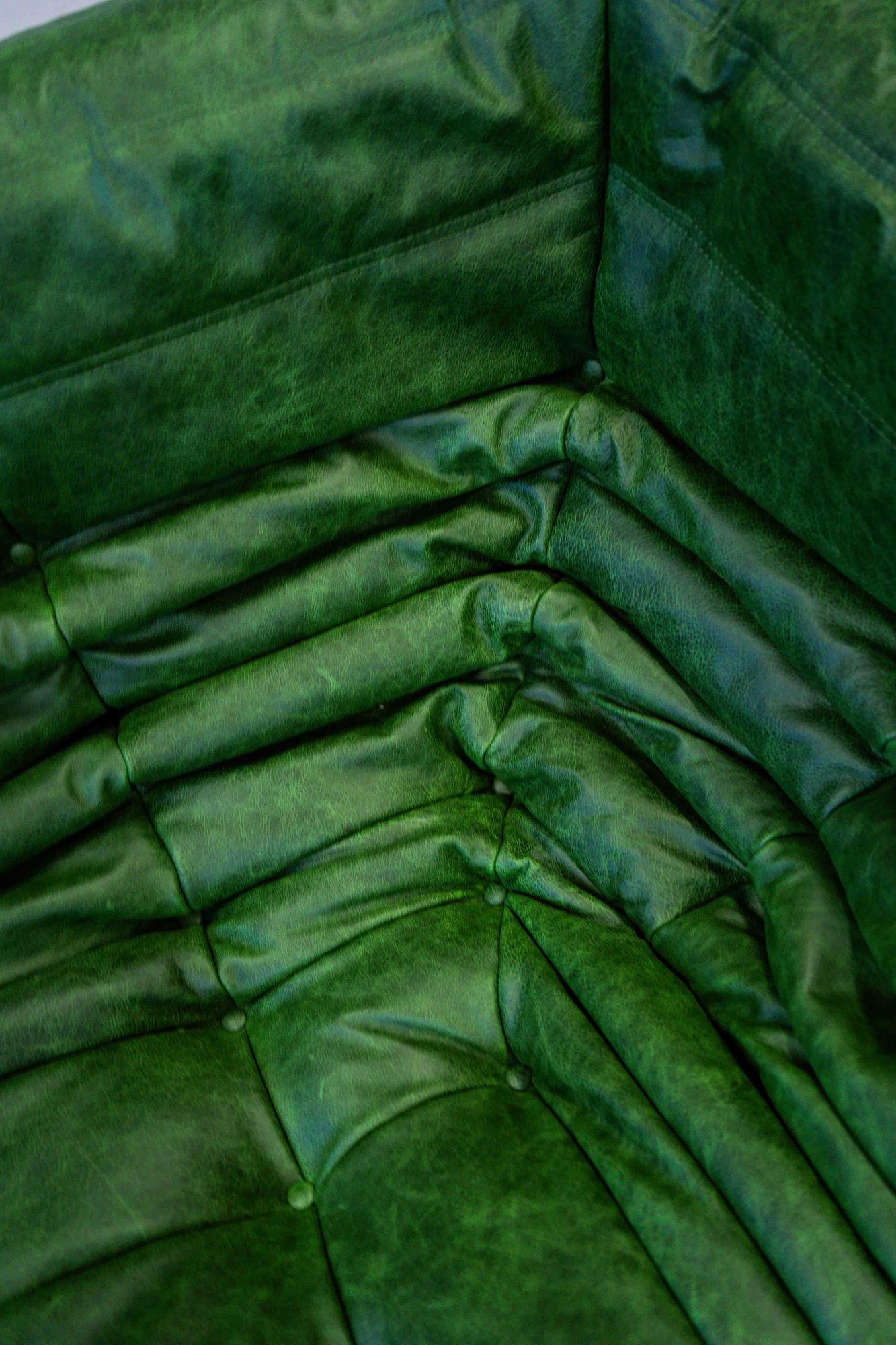 Divano Togo 2 posti con braccioli in pelle pull-up verde 4