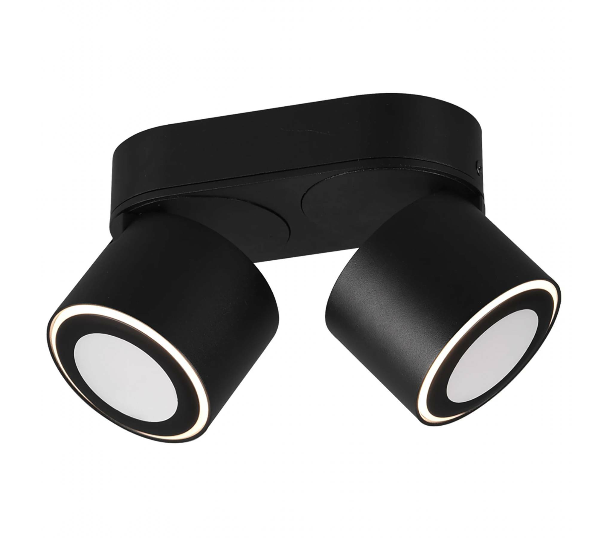 2-Flame LED Ceiling Lamp Aluminum Black 3