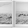 Sebastião Salgado. Africa 3
