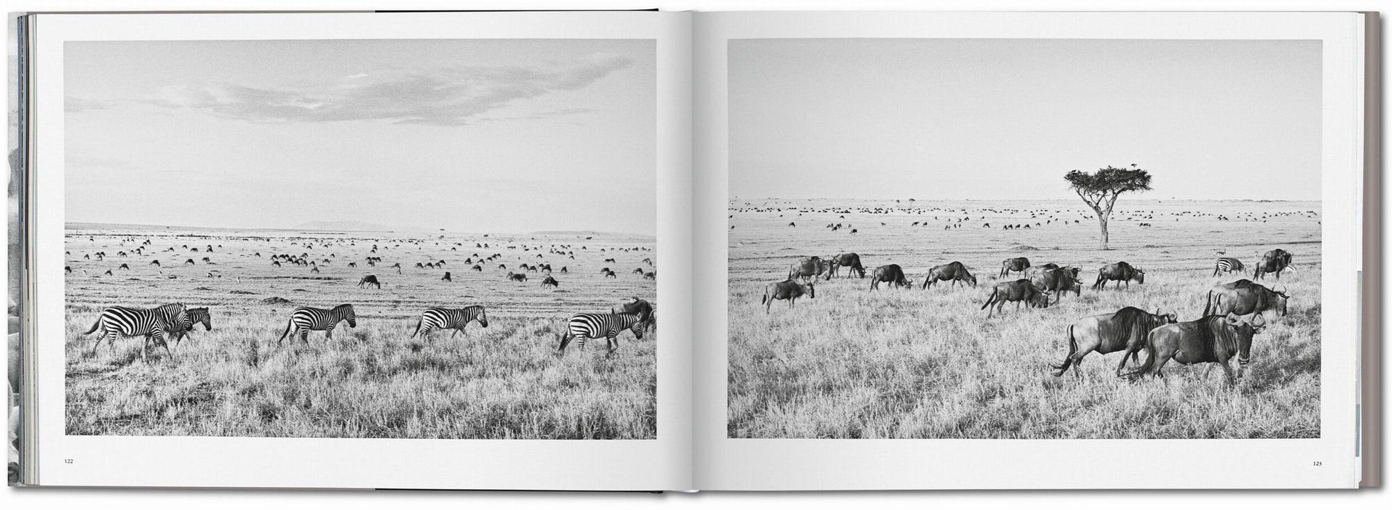 Sebastião Salgado. Africa 3