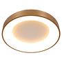 LED-Deckenleuchte Ringlede Aluminium Gold Durchmesser: 38 cm 2