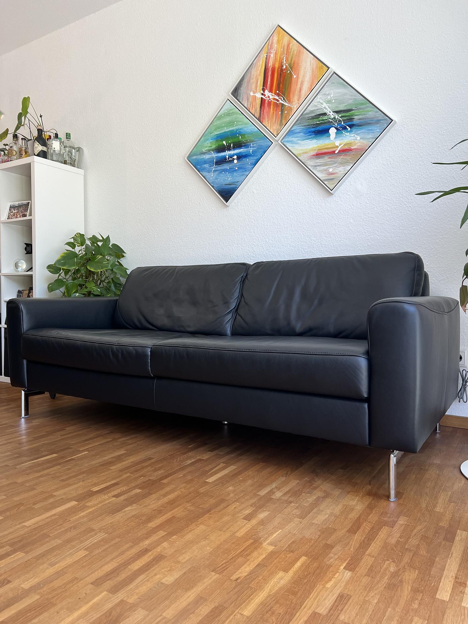 Alexx 2-Sitzer Sofa Leder Schwarz 0