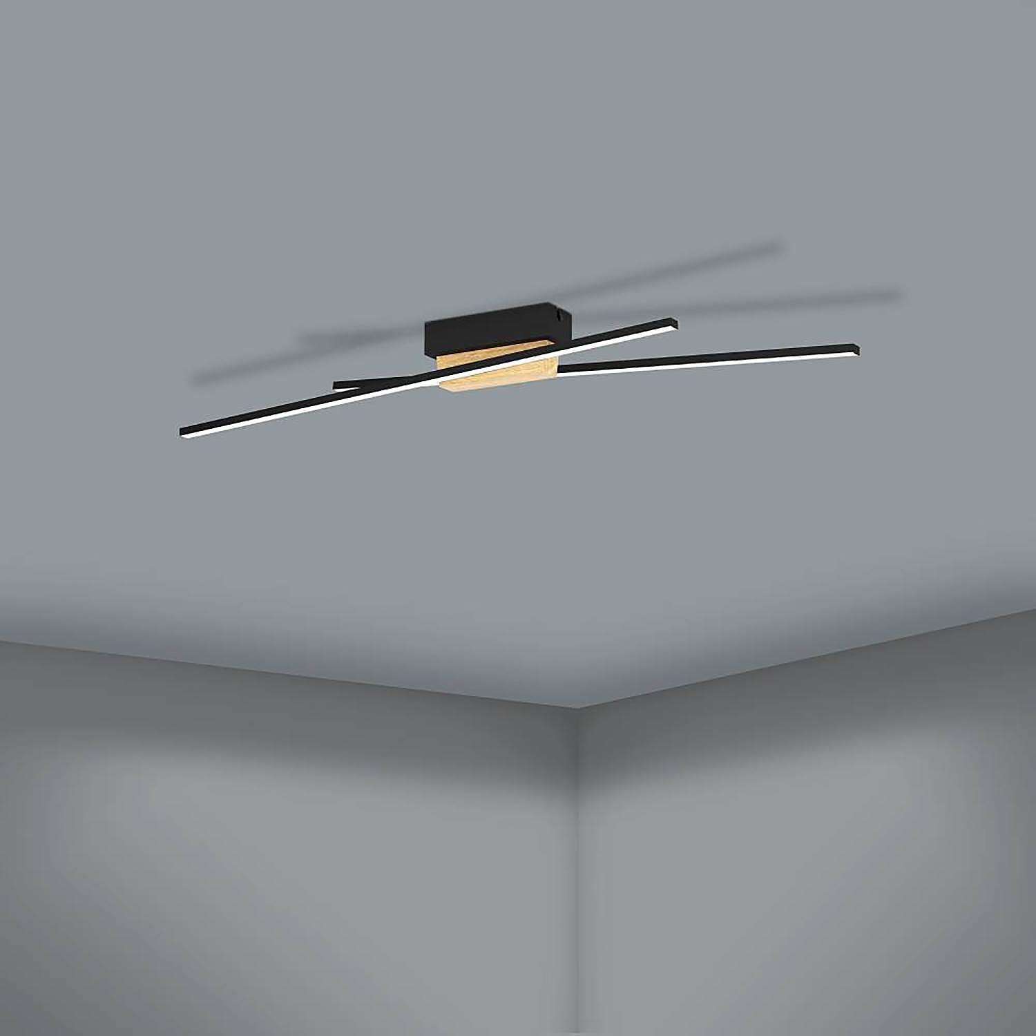 Panagria Deckenleuchte Stahl Polycarbonat 2-flammig 3