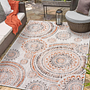 Echo Outdoor Rug Multicolored 0