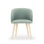 Rosa Esszimmerstuhl Fabio Grey Green 1