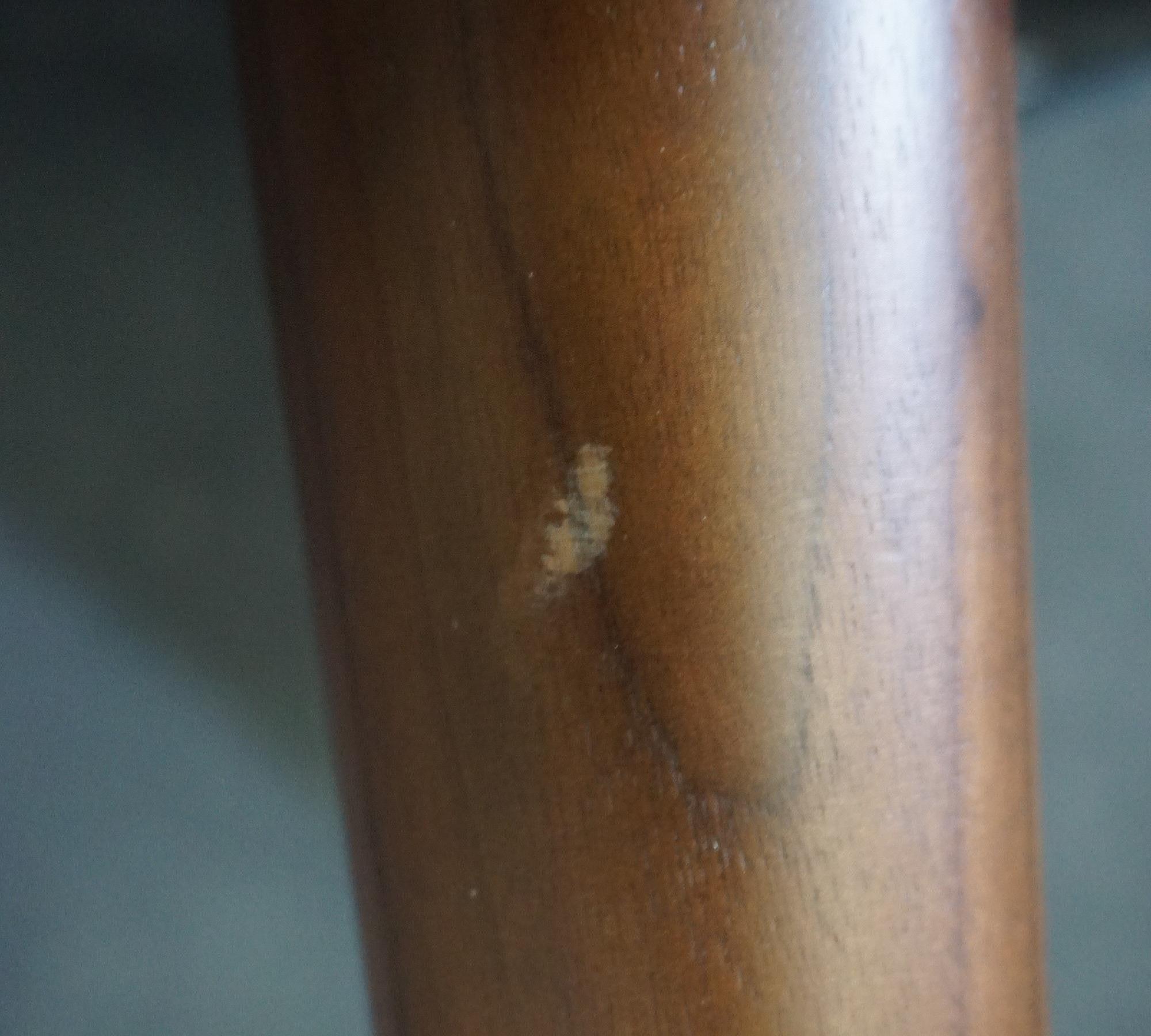 Anne Sessel Planet Legion Blue 7