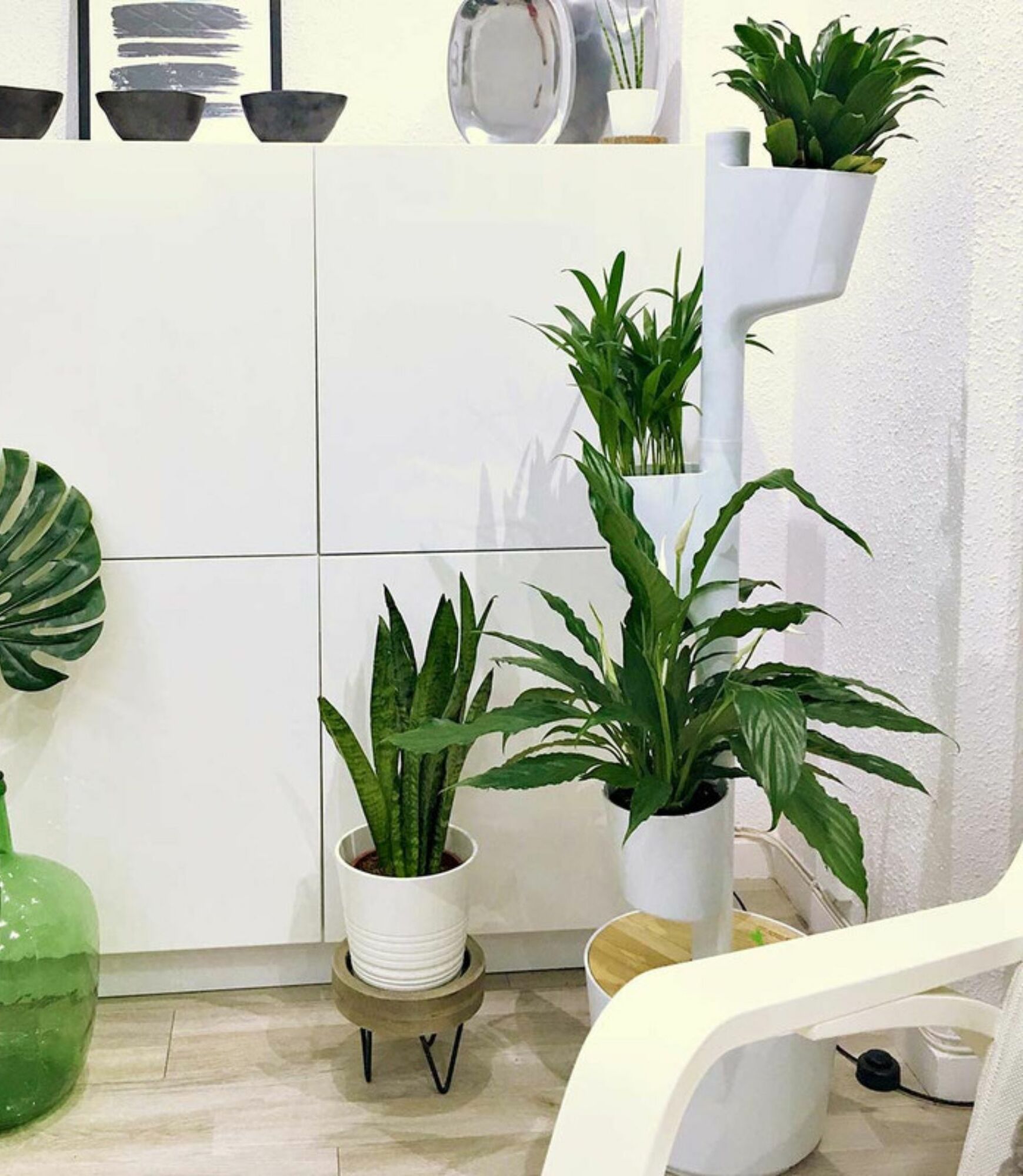 Design Award: Pine Wood White Plant System 6