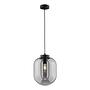 Regi Pendant Lamp Iron Smoke Glass 1-light 2