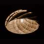 NAUTILUS lampada a sospensione legno naturale 5