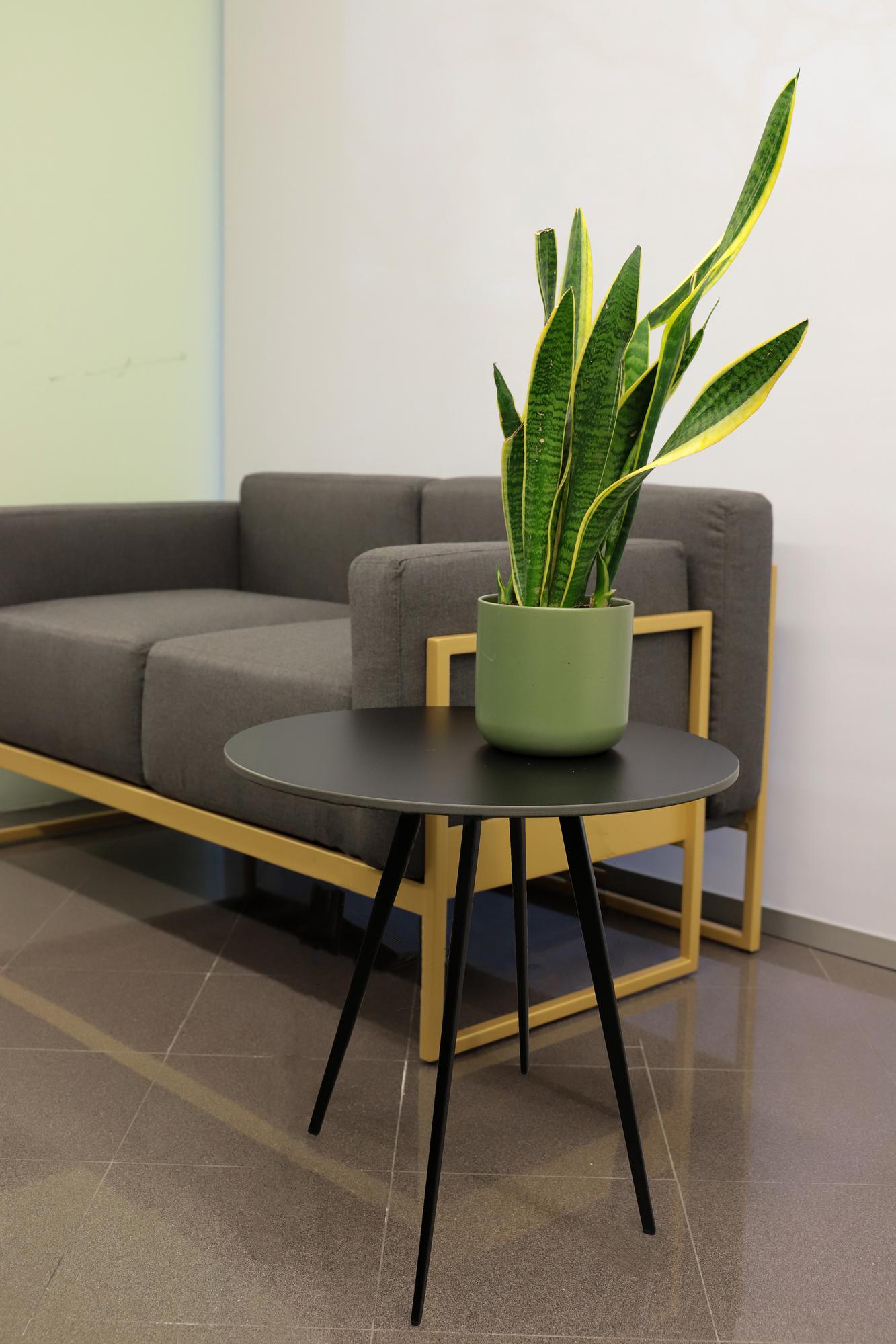 Buky Side Table Metal Black 3