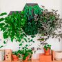 3x Wall planter Black with textile cover 4