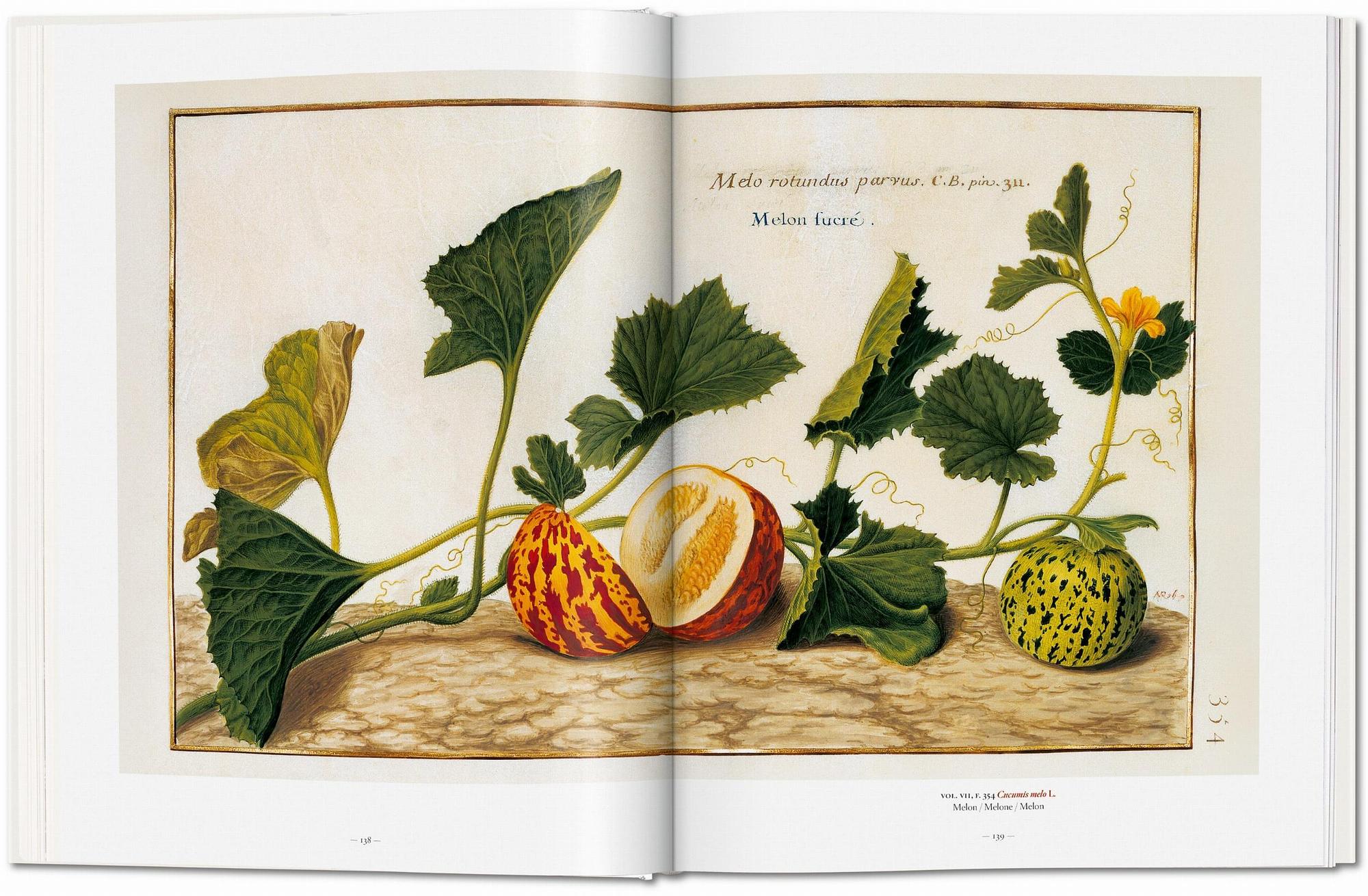 A Garden Eden. Masterpieces of Botanical Illustration 4