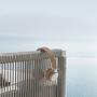 Club Garten Lounge-Set Medium Grau 5