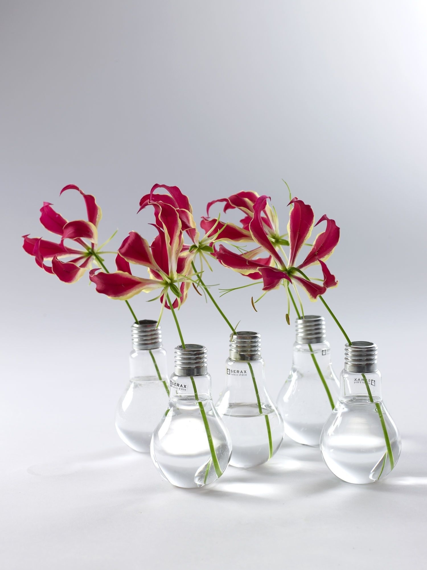 Lightbulb Vase Transparent 0