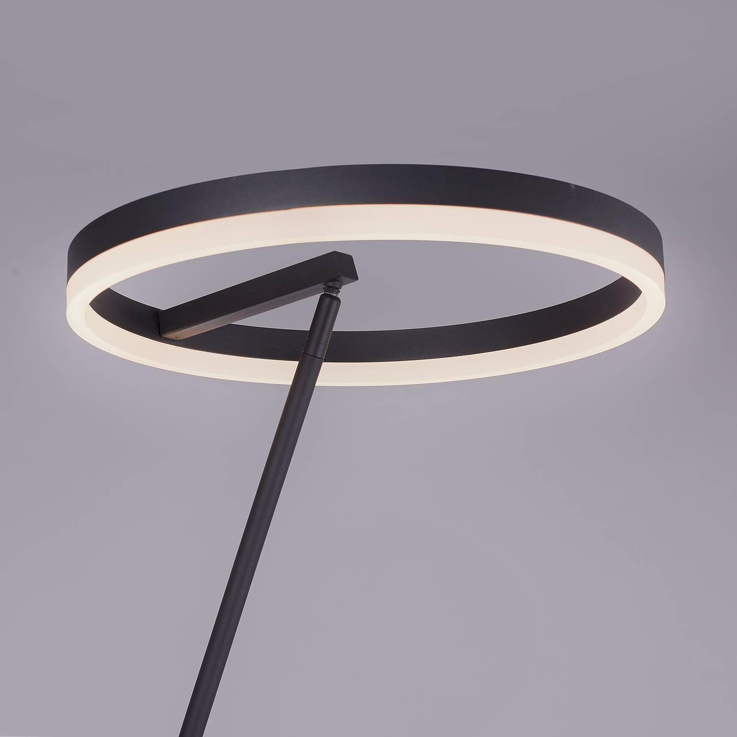 LED-Stehleuchte Titus Acrylglas Eisen 4