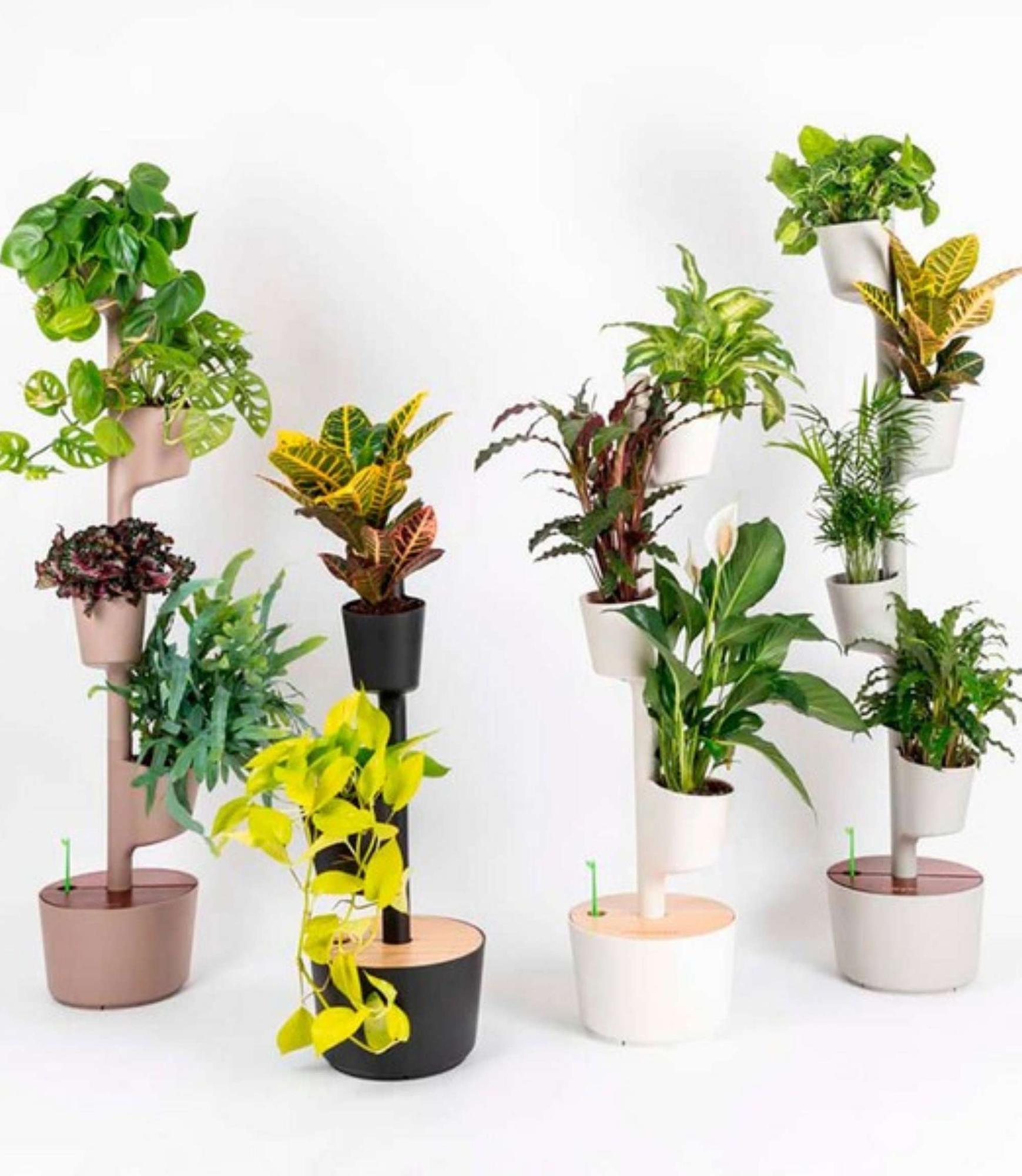 Design Award: Pflanzensystem Kiefernholz Autom. Bewässerung 2