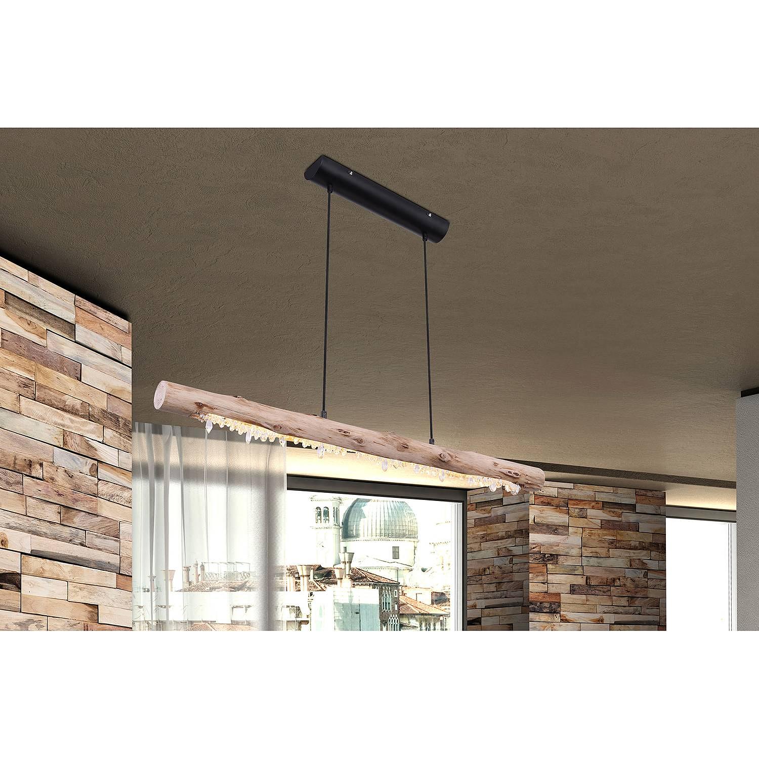 LED-Pendelleuchte Felicitas Eukalyptus Massiv Eisen 2